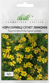 Купить семена бархатцев сигнет лимонные