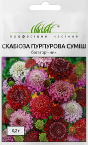 купить семена цветов скабиоза пурпурная смесь