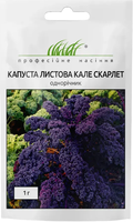 насіння капусти кале скарлет