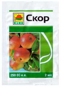 купити скор