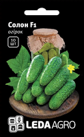 Купить семена огурец солон