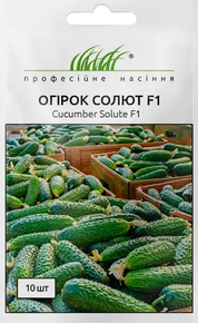 купить семена огурец солют