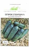купить семена огурца стентор