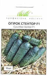 купить семена огурца стентор