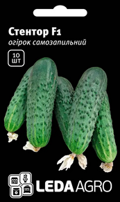Семена огурцов стентор