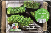 Купить набор микрозелени трио фитнес