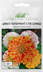 Купить семена цветов циния пеперминт стик смесь