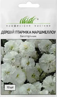 Семена цветов тысячелистник птармика маршмеллоу