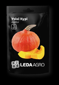Купить семена тыквы учики кури