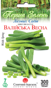 валійська весна цибуля - батун 