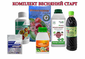 комплект весенний старт