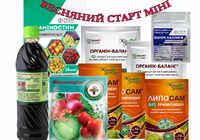 весенний старт мини комплект