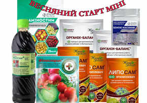 весенний старт мини комплект