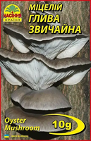 Купить мицелий грибов вешенка обыкновенная