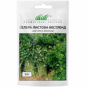 купить семена вестленд селера листова