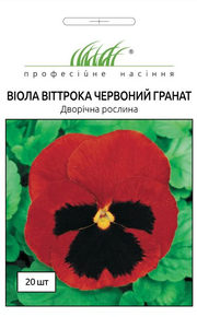 купить семена виола красный гранат