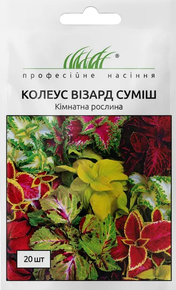 купить семена колеус визард