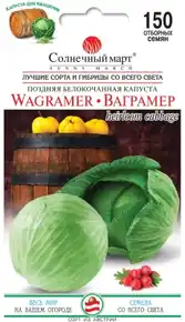 купить семена ваграмер капуста