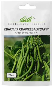 насіння спаржева квасоля ягуар