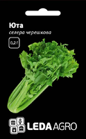 Купить семена сельдерей корневой юта