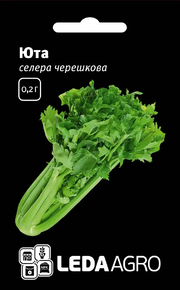 Купить семена сельдерей корневой юта