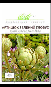 купити зеленый глобус, артишок
