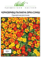 купить семена пылающая звезда