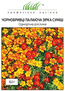 купить семена пылающая звезда